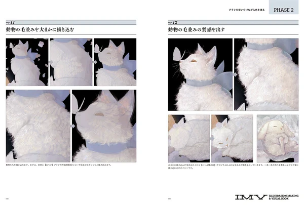 Akashi Ni Irozuku Hi Shirone Works (ILLUSTRATION MAKING & VISUAL BOOK) - Image 4